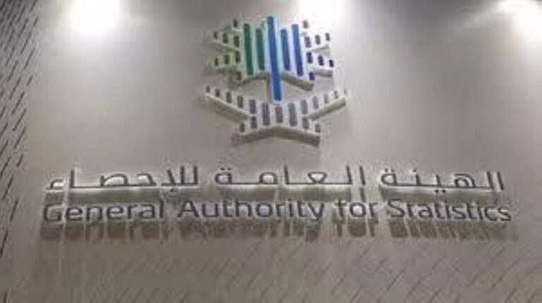 الإحصاء-6551-ميجاواط-سعة-مشاريع-الطاقة-المتجددة-حتى-نهاية-2024.jpg